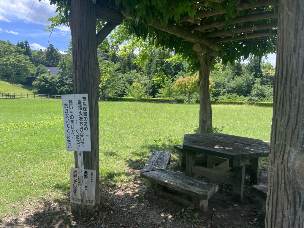 右手奥の芝生