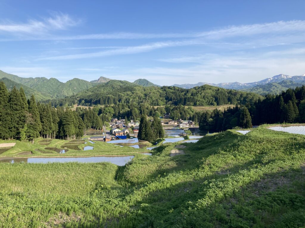 北五百川の棚田2