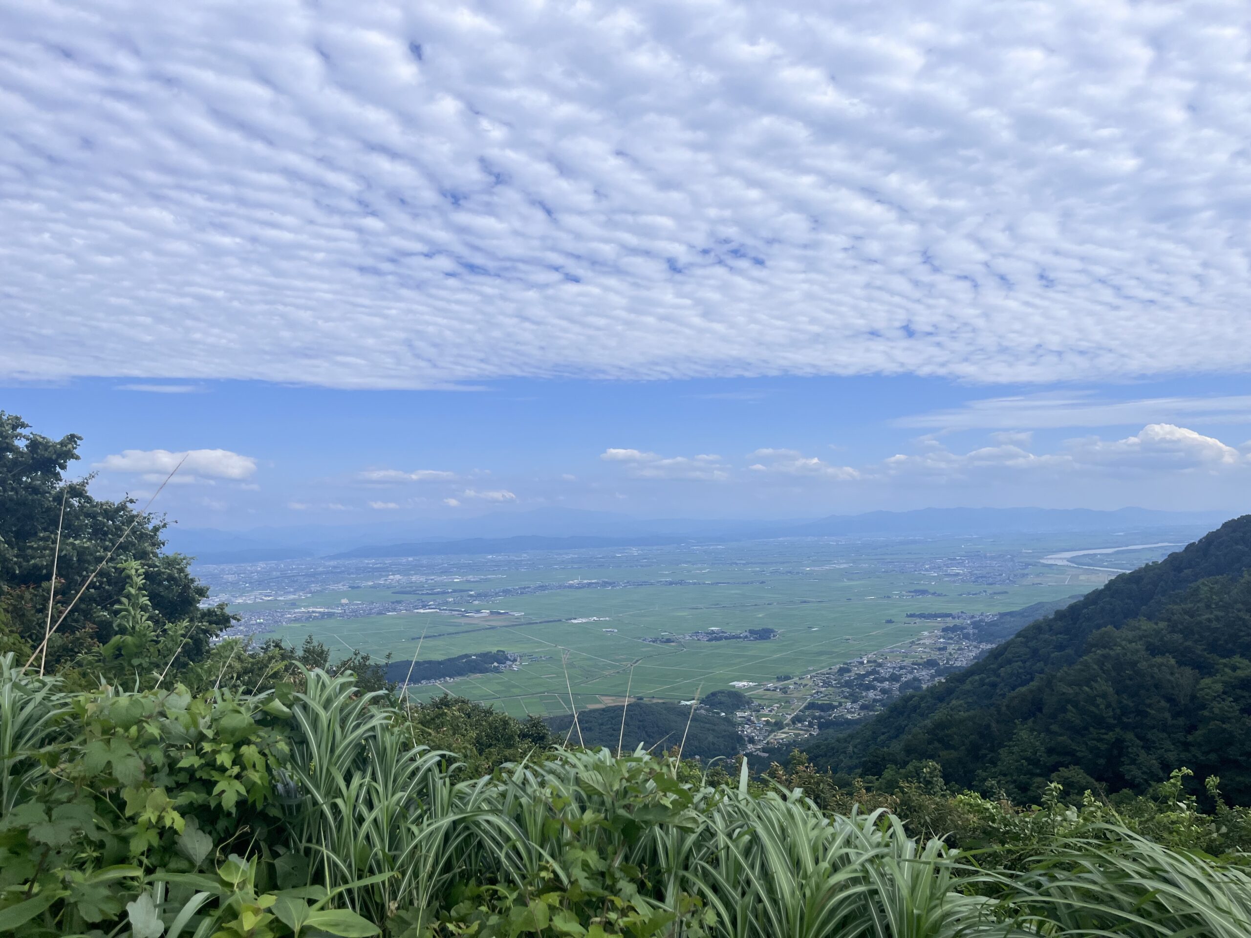 弥彦山大平園地3