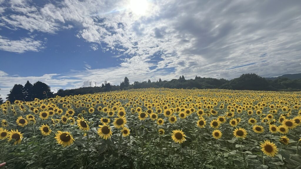 奥の見晴らし台から見える景色1