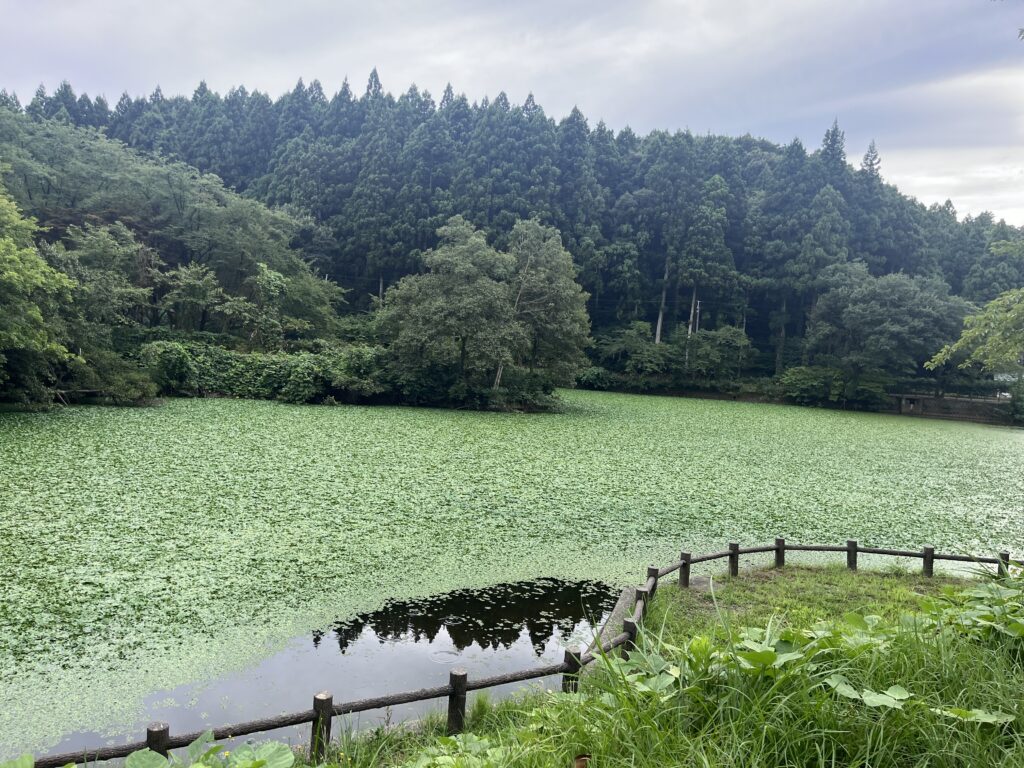 秋葉湖