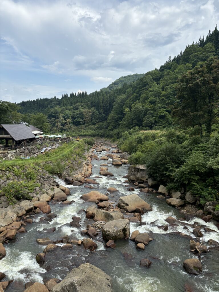 1つ目の吊橋から見た景色