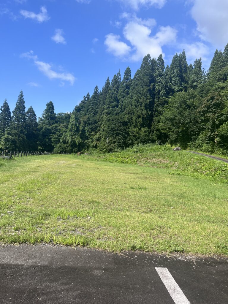 駐車場の目の前の草むら1