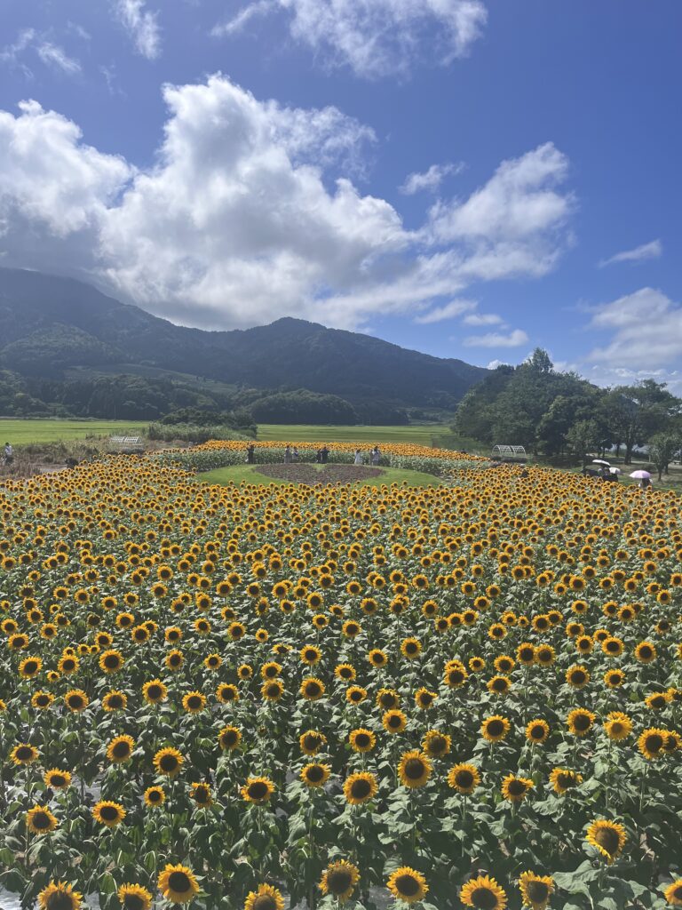 展望デッキから見える景色