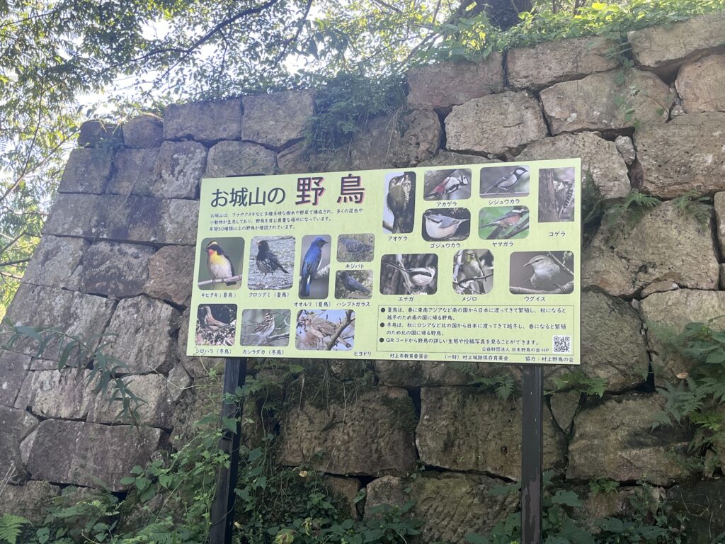 野鳥の種類の看板