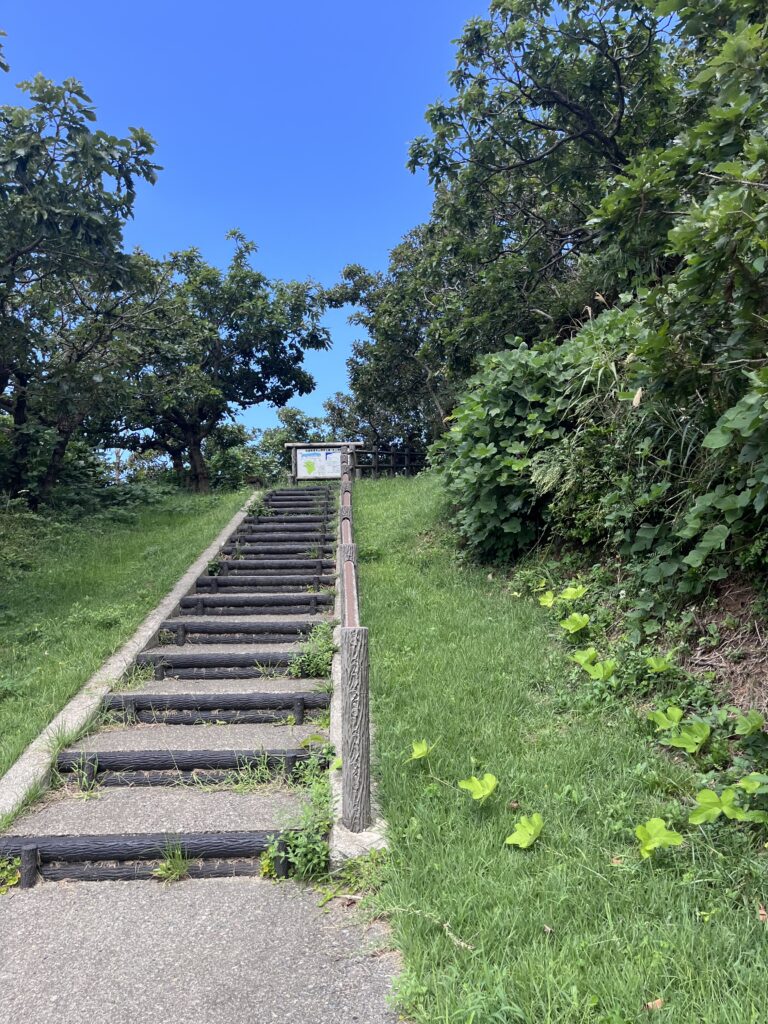 遊歩道階段