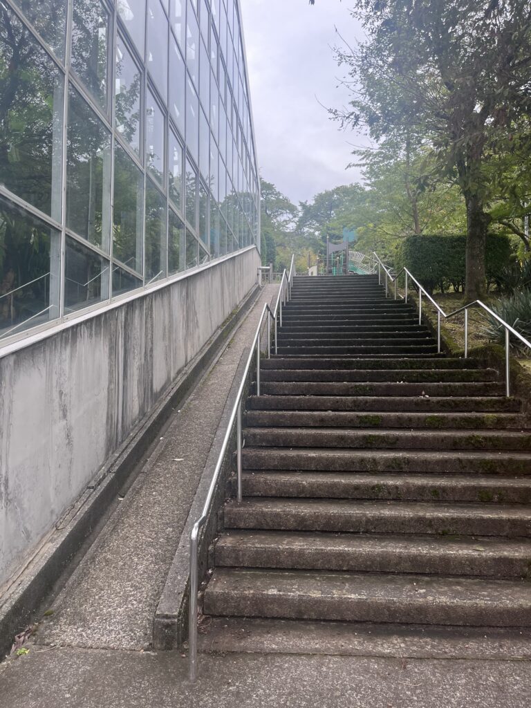 熱帯植物園の右横の階段