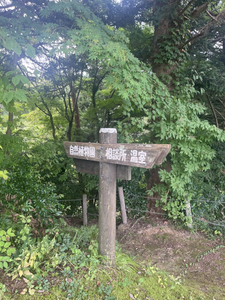 道沿いの看板2