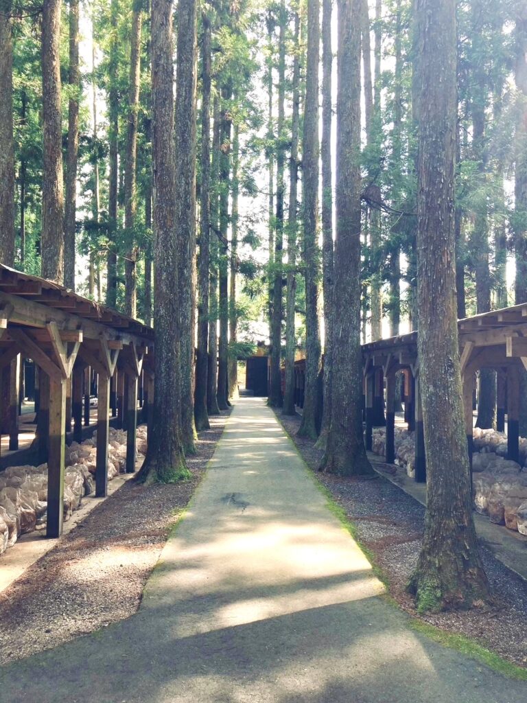 【三川観光きのこ園＆カサブランカ園】大自然で楽しむ