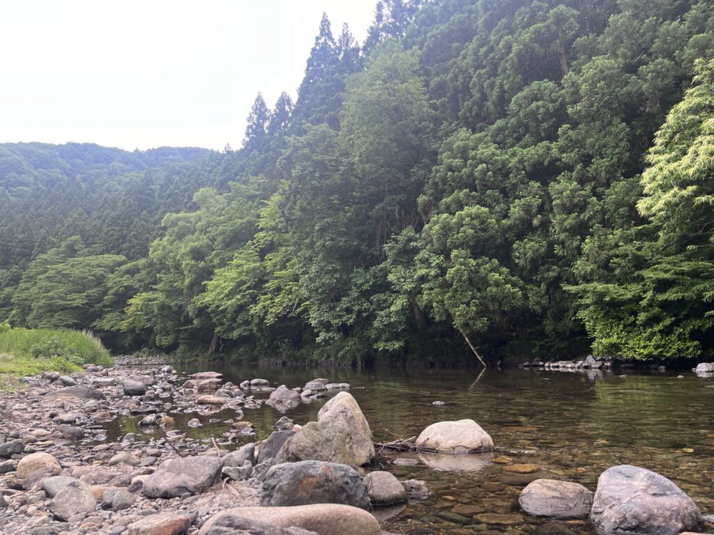 仙見川1