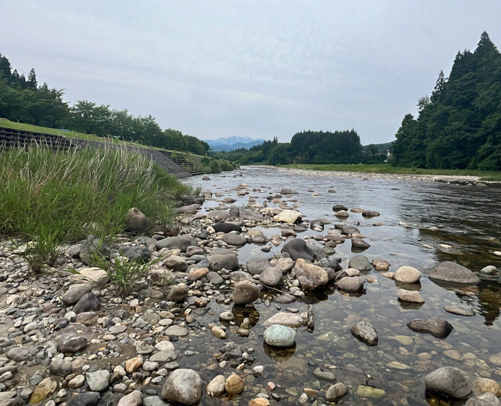 向ノ島公園の川辺1