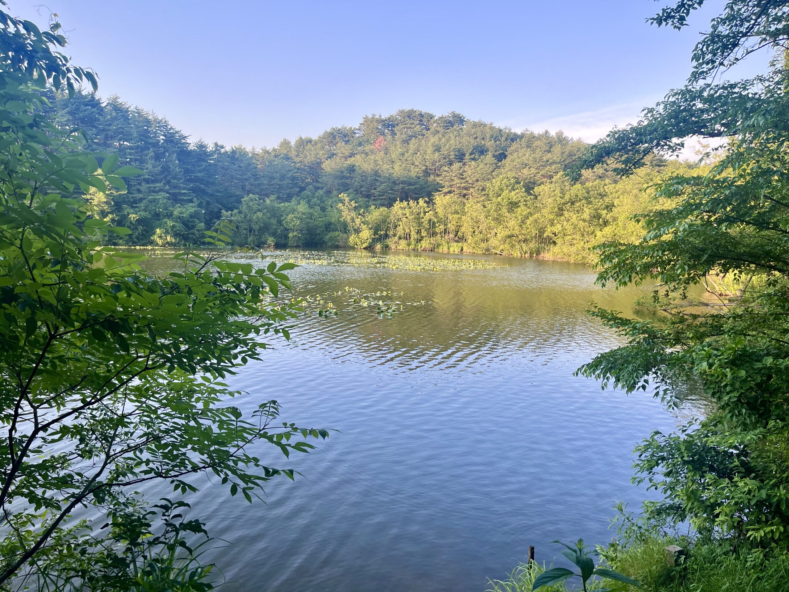 『日本の都市公園100選に登録されている公園』  