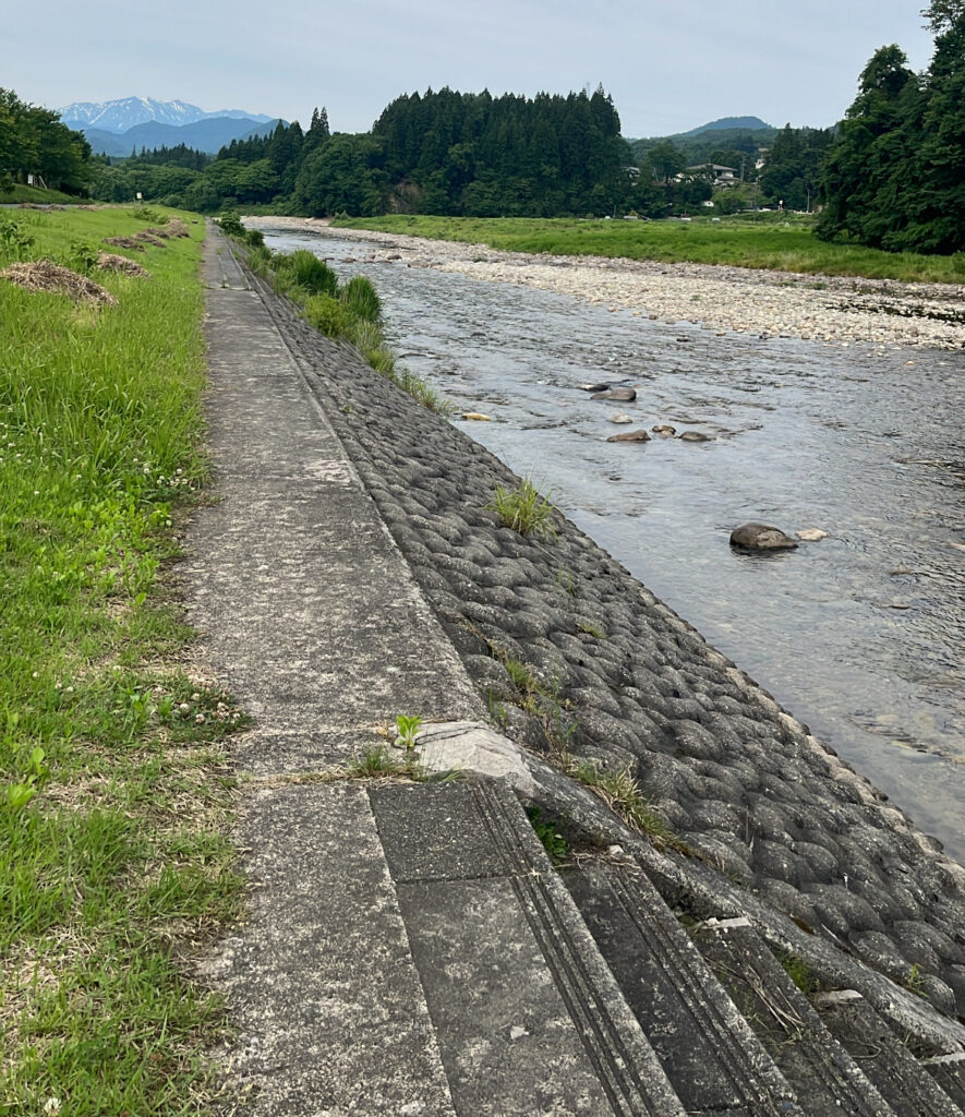 向ノ島公園の川辺3