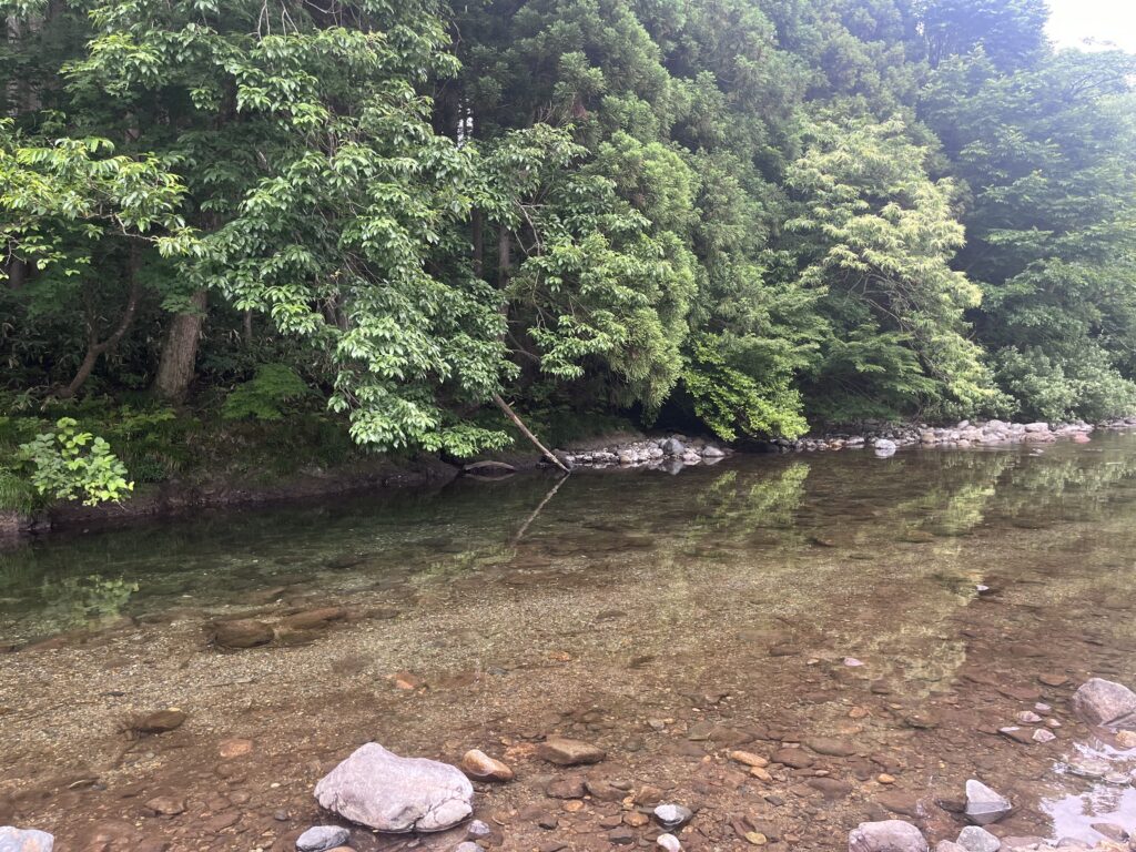 仙見川2