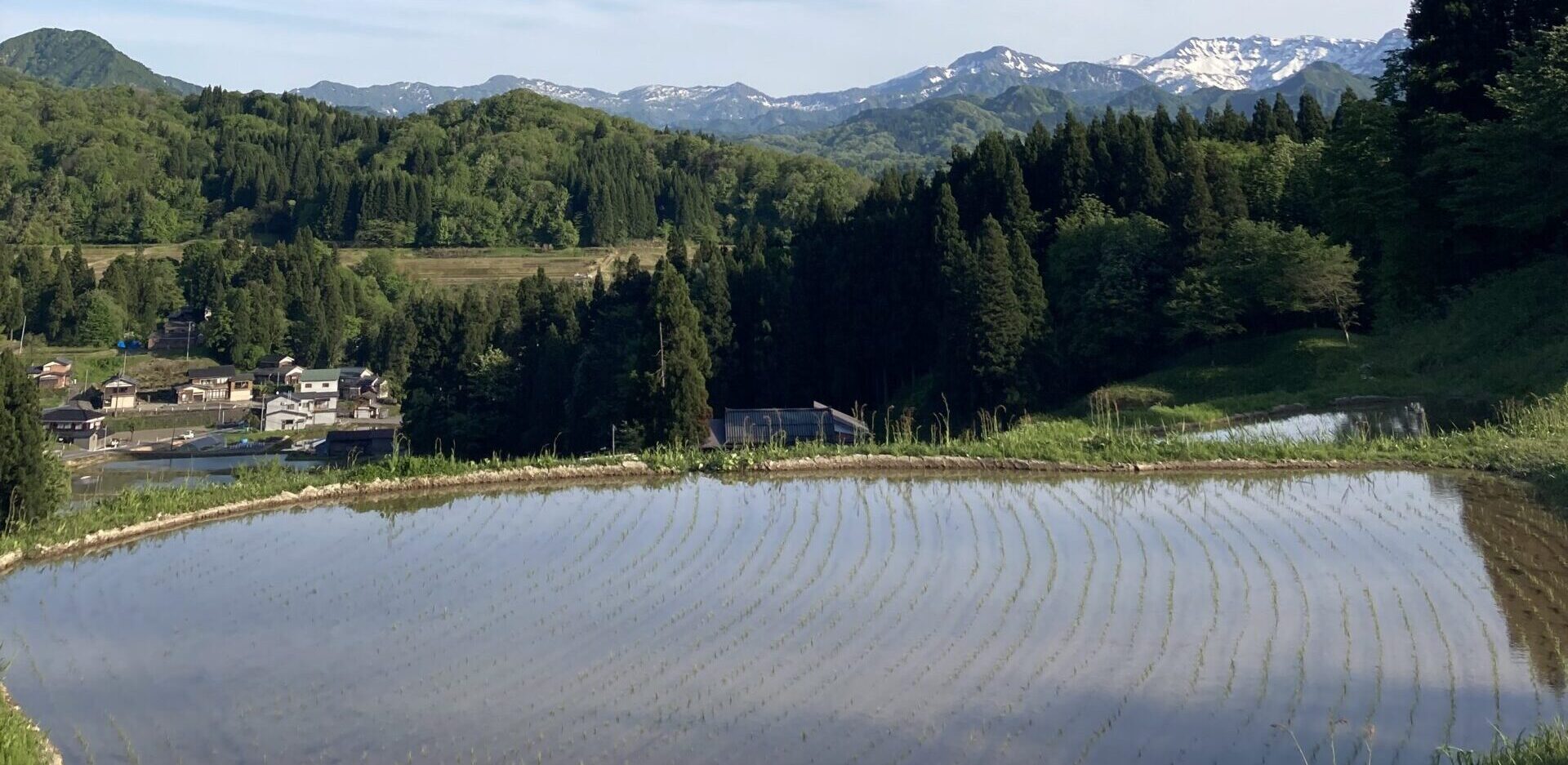 北五百川の棚田1