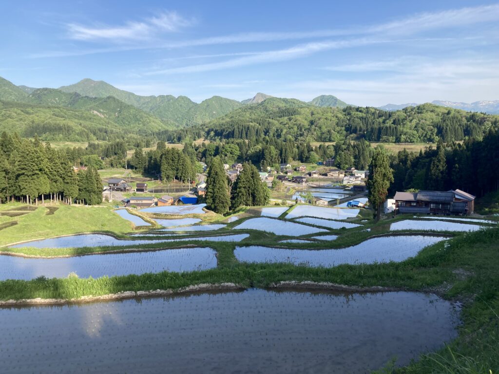 北五百川の棚田3