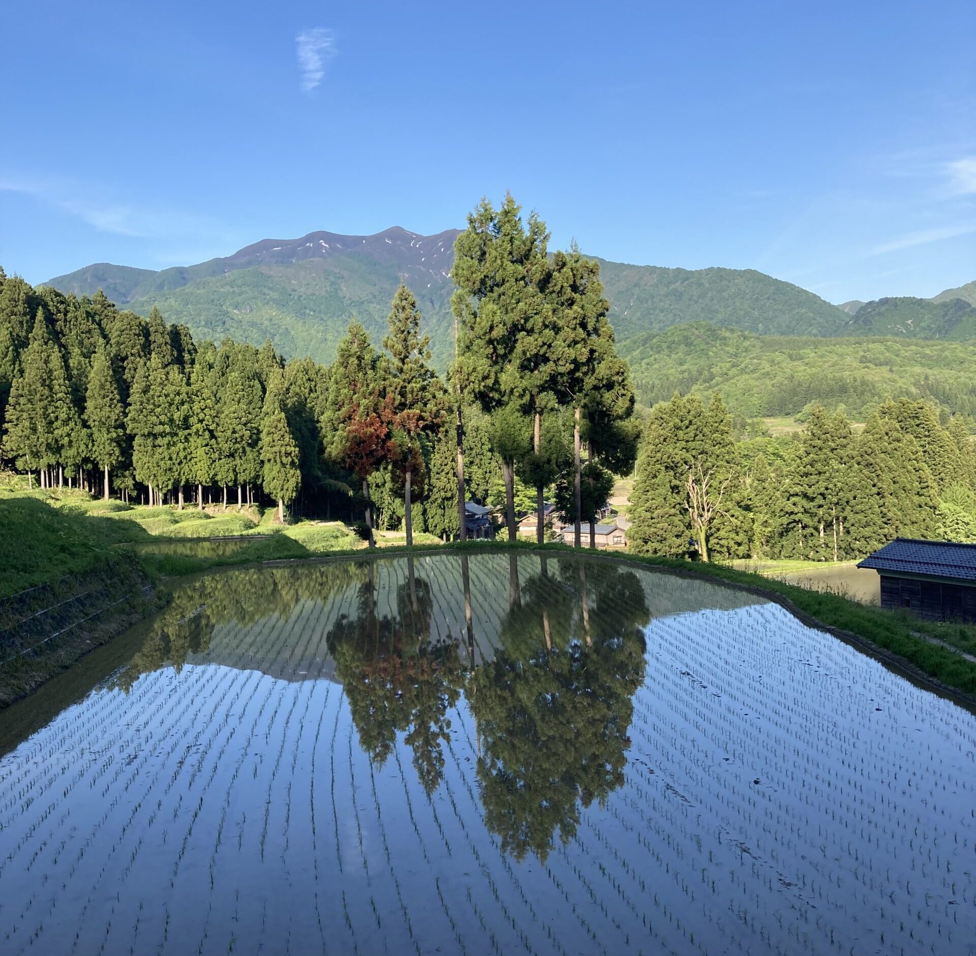 北五百川の棚田
三条市