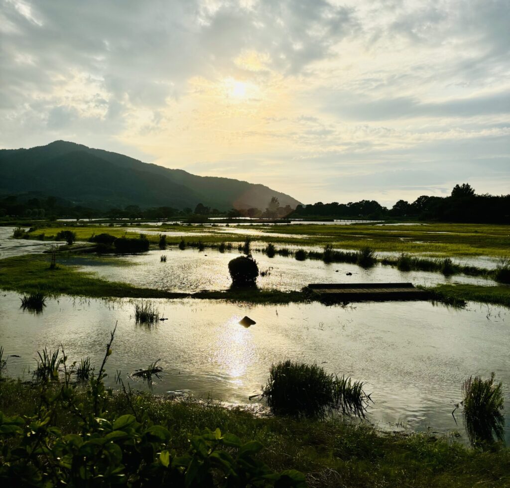 湖面