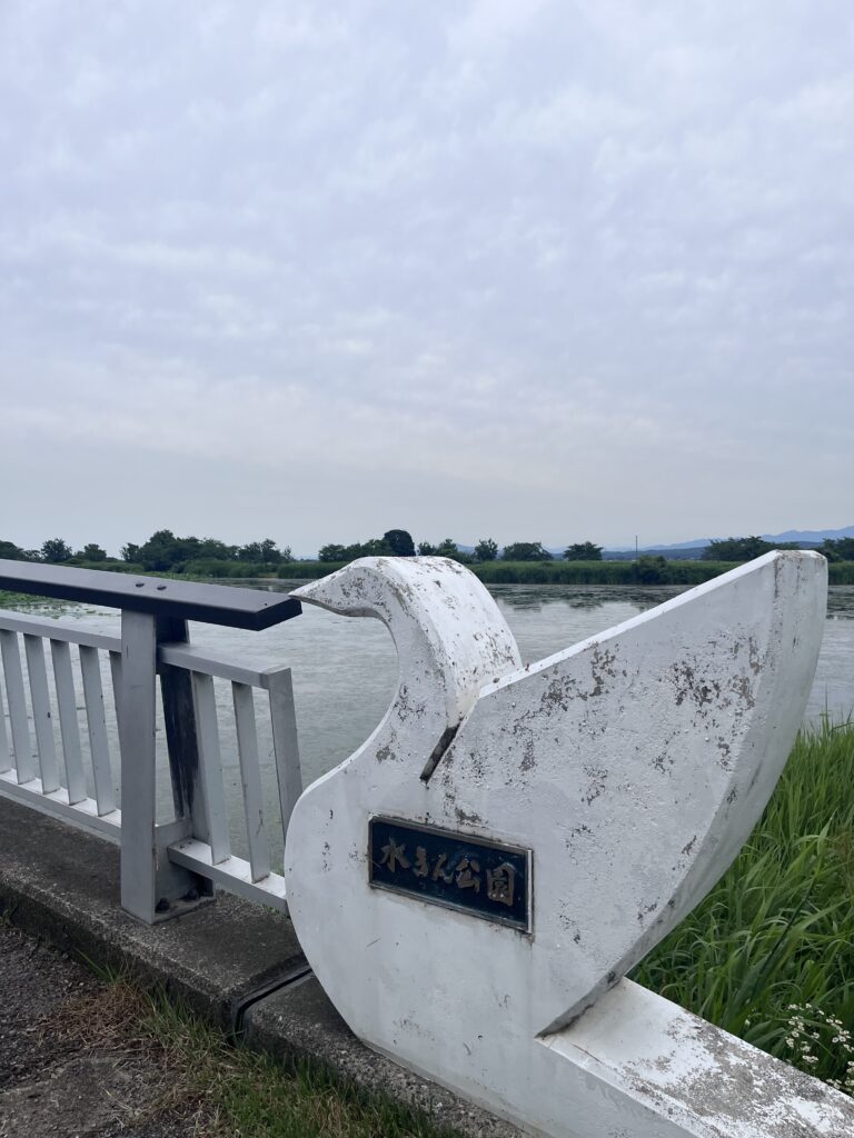 瓢湖大橋1