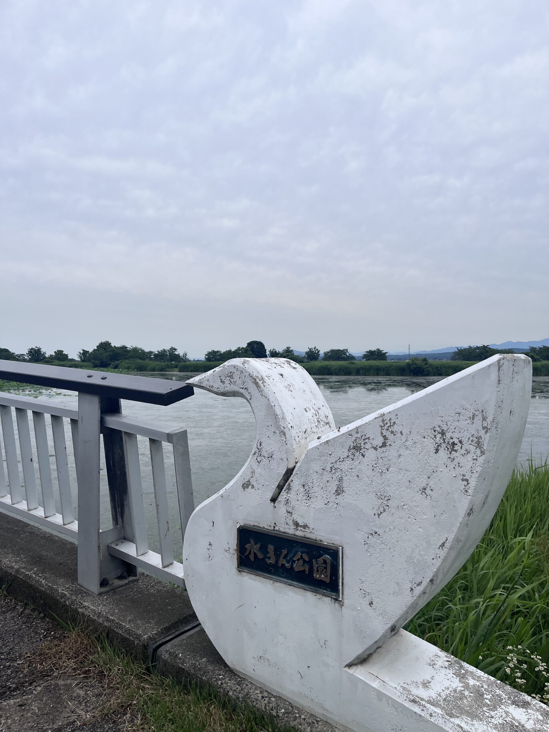 瓢湖水きん公園
阿賀野市