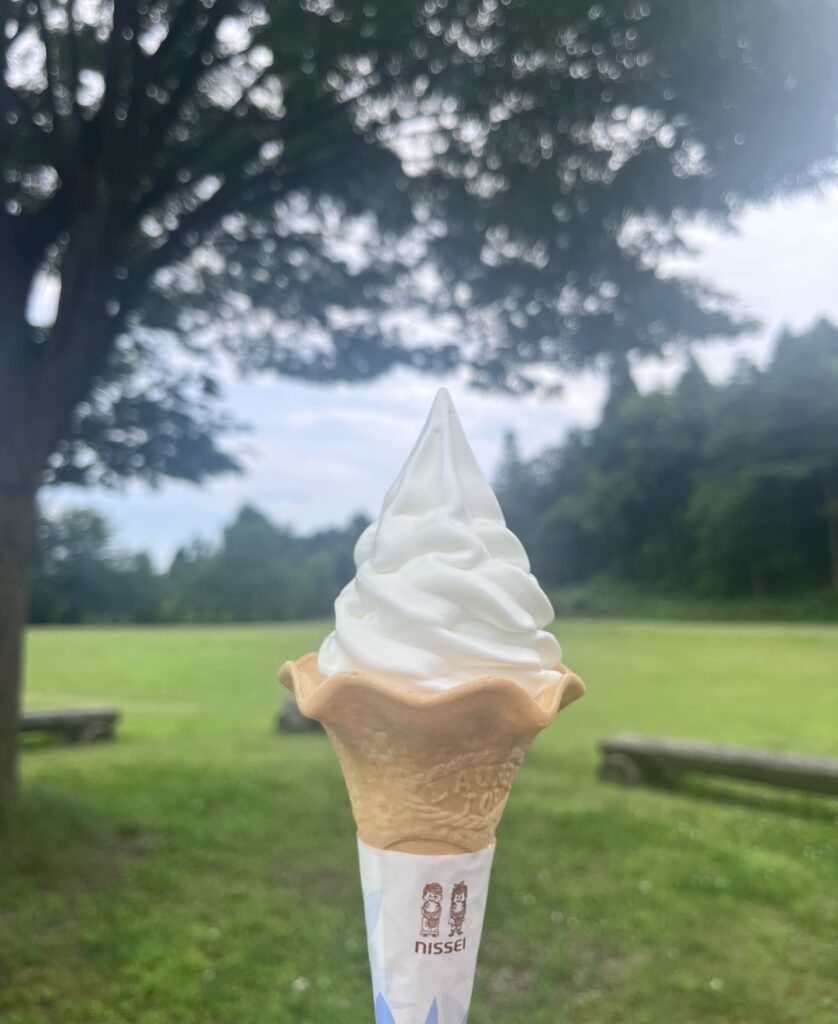 【道の駅良寛の里わしま】ガンジーソフトクリーム