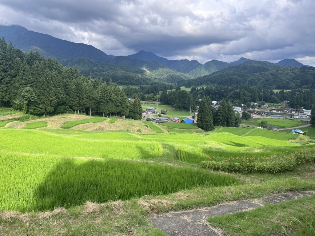 北五百川の棚田4