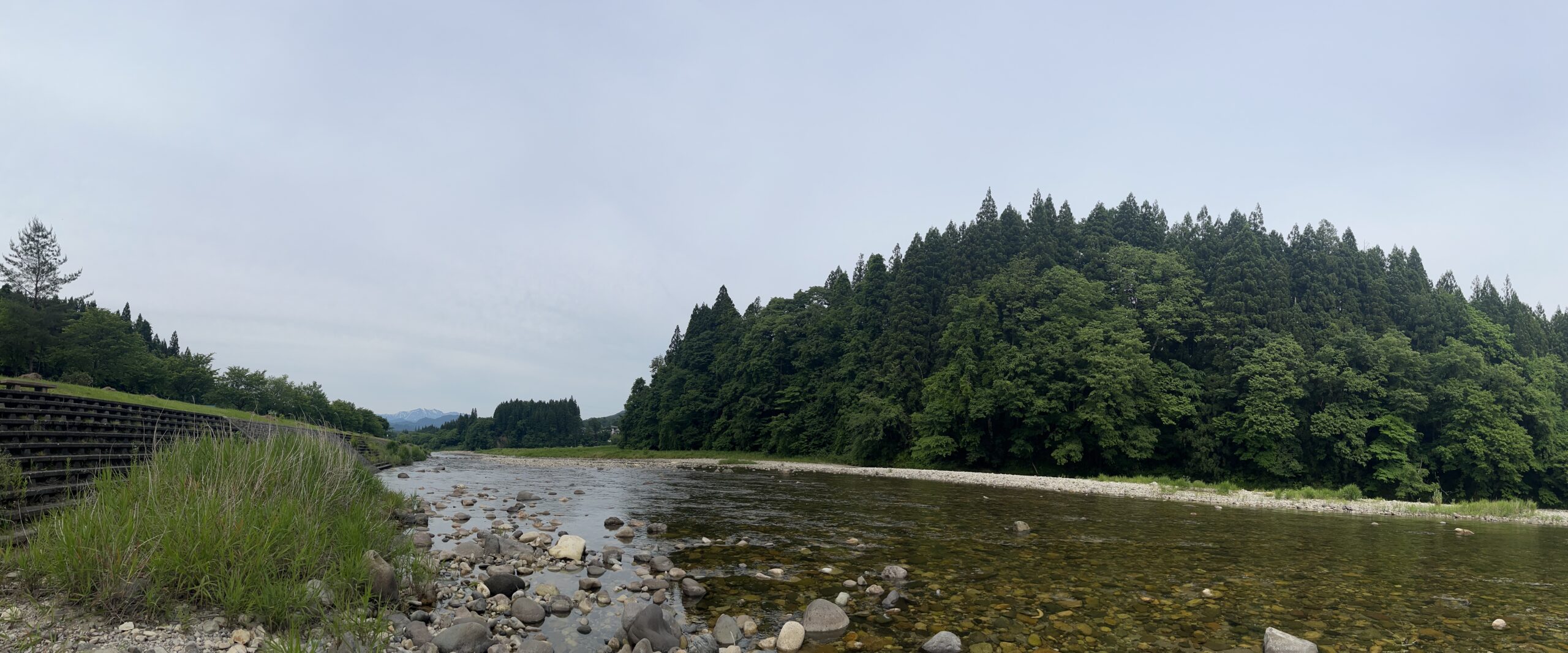 向ノ島公園の川辺4