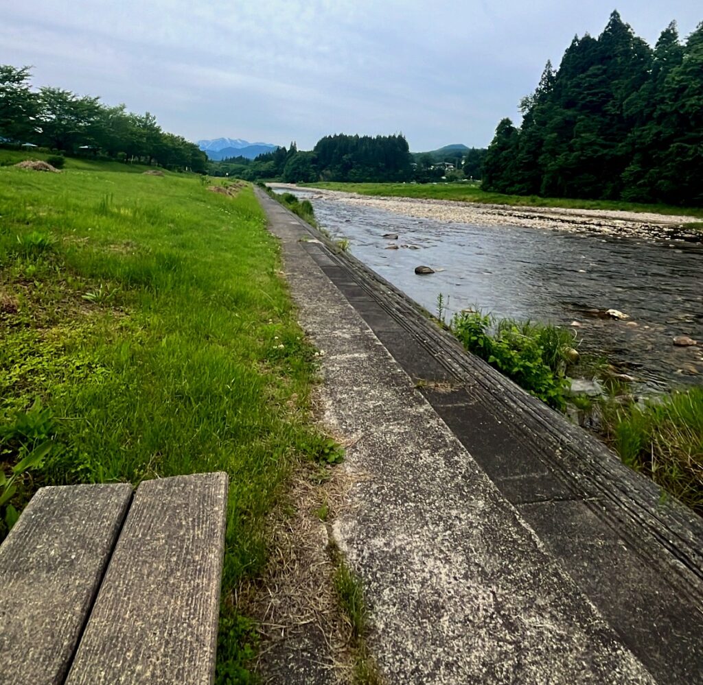 向ノ島公園の川辺2