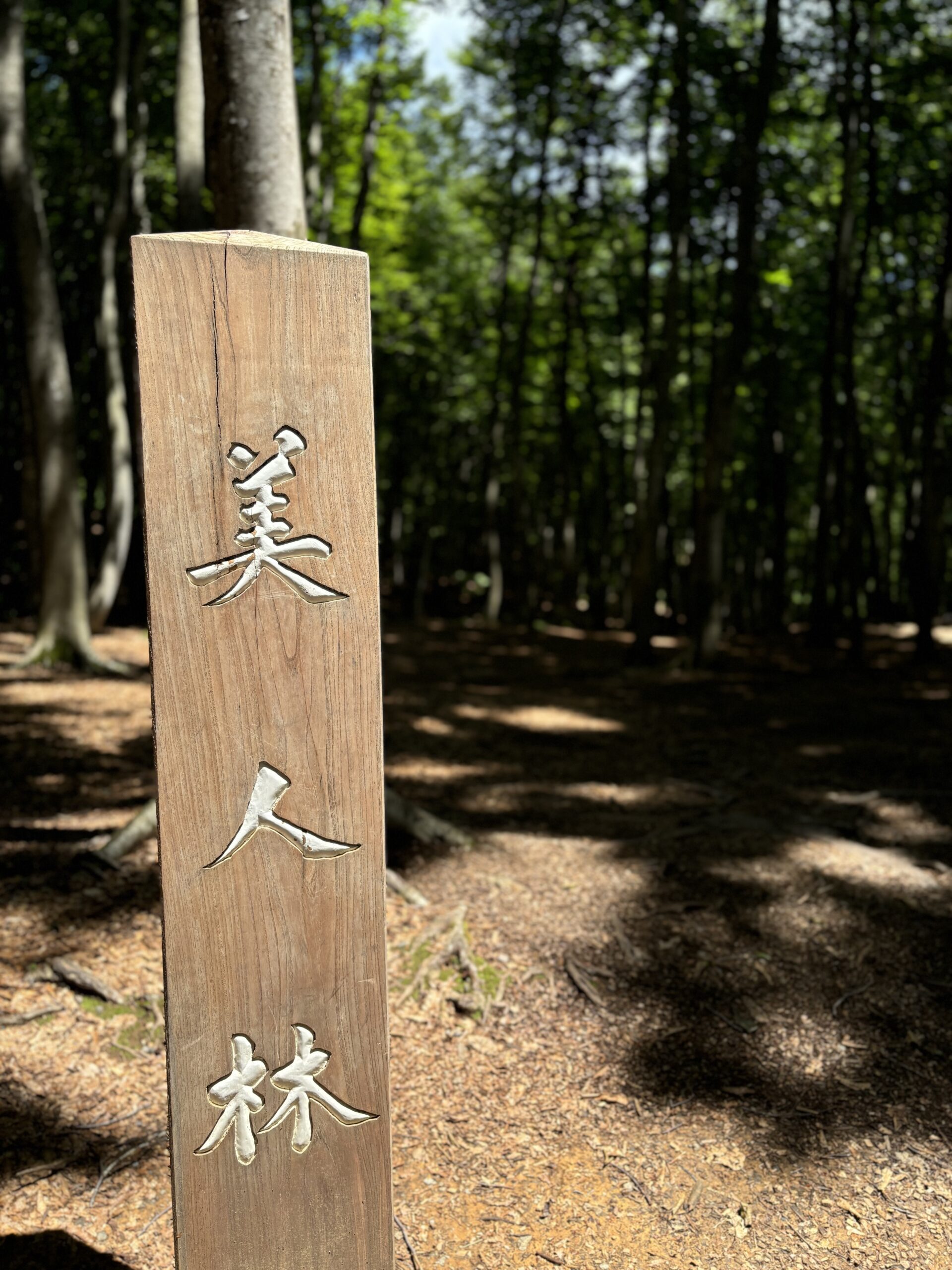 美人林
十日町市