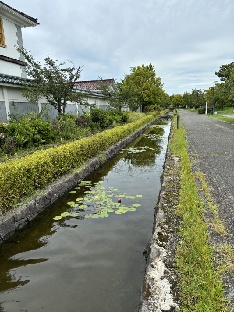 周路沿いの池