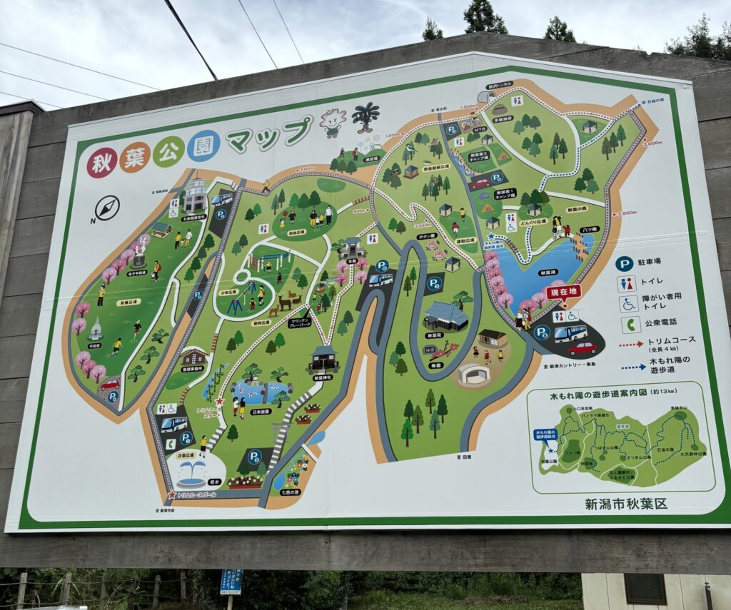 【秋葉公園】丘陵地にある市街地から近い総合公園