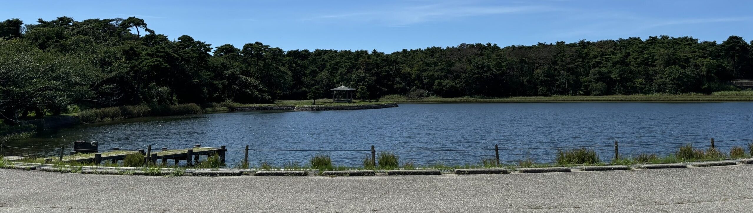 『村上市の”白鳥渡来地”』