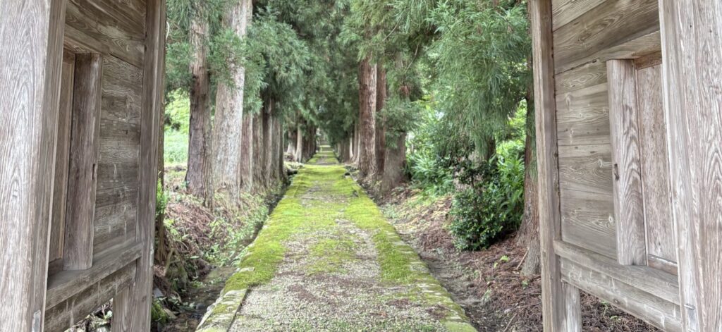 【最明寺】想像力をくすぐられる参道｜正門からの景色