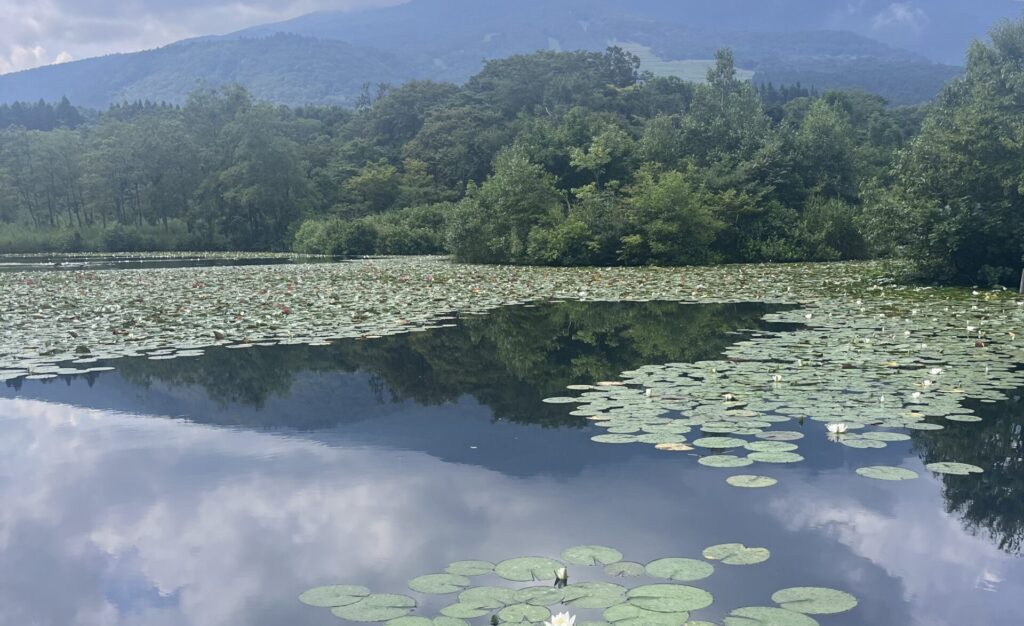 【いもり池】水鏡に映る逆さ妙高の絶景が広がる