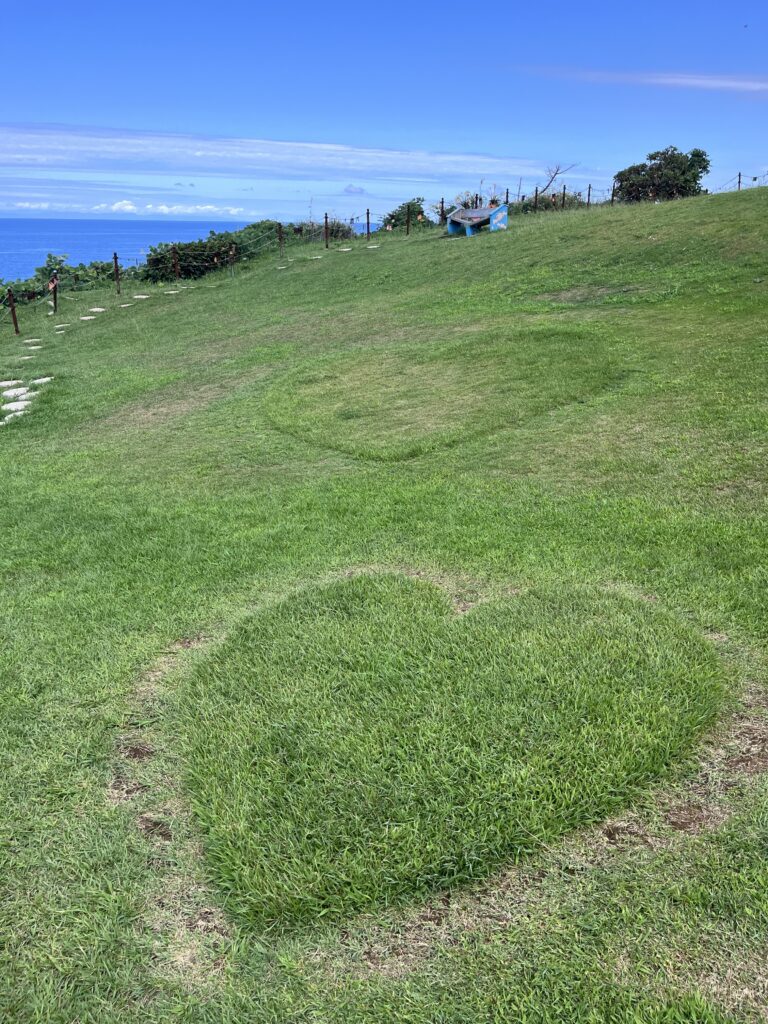 ハート型の芝生とベンチ