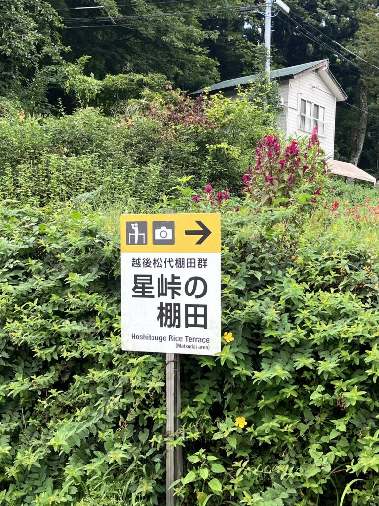 案内看板3