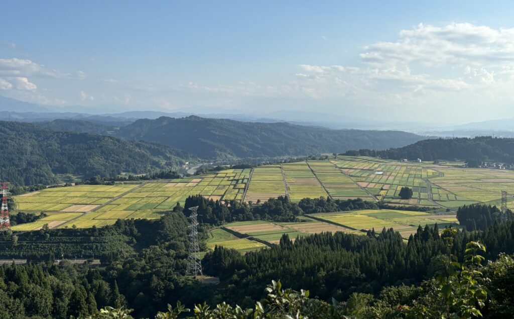 【山本山高原山頂】雲海が見られる絶景スポット