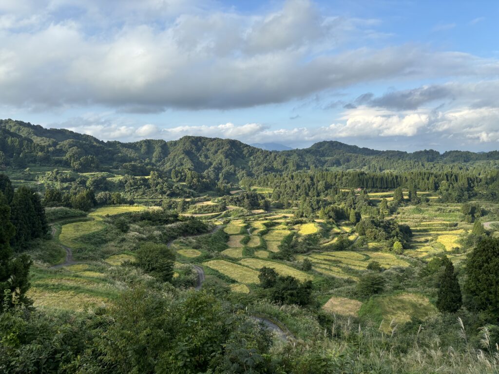 星峠の棚田