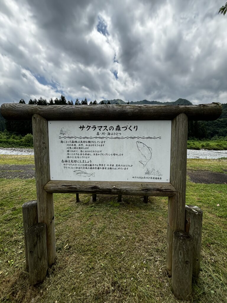 サクラマスの森づくりの看板