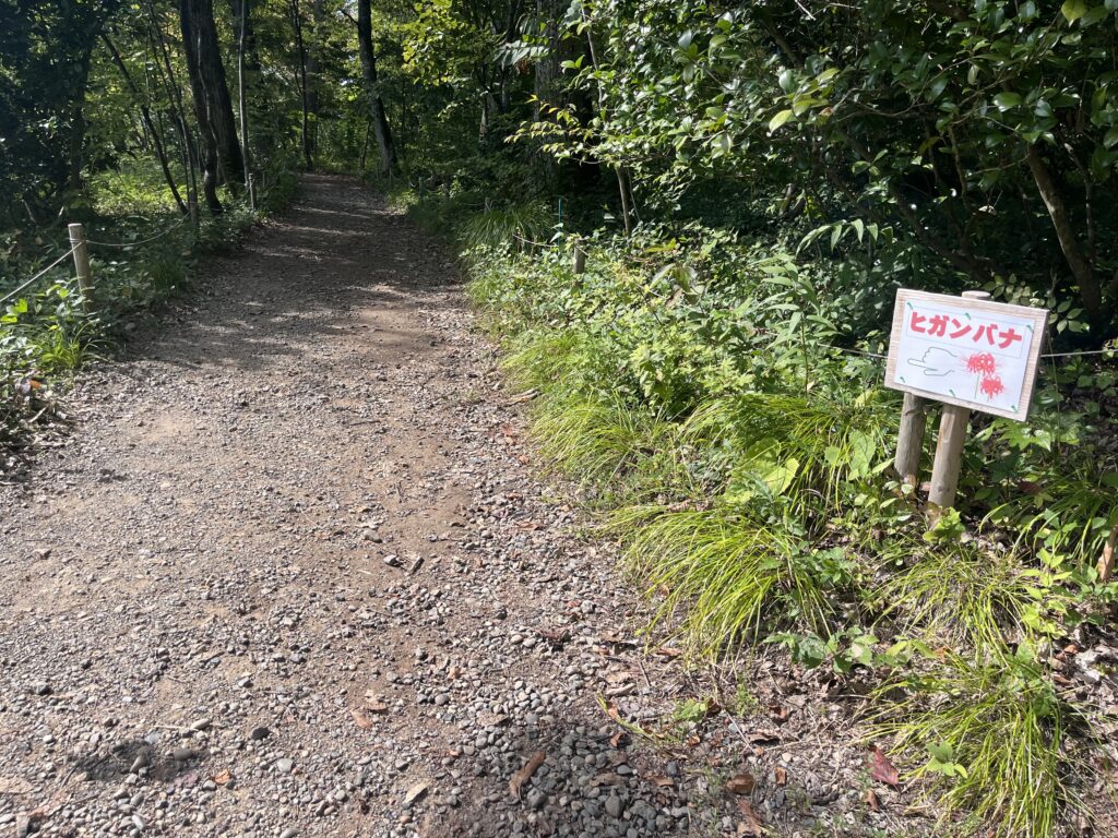 道沿いの案内看板