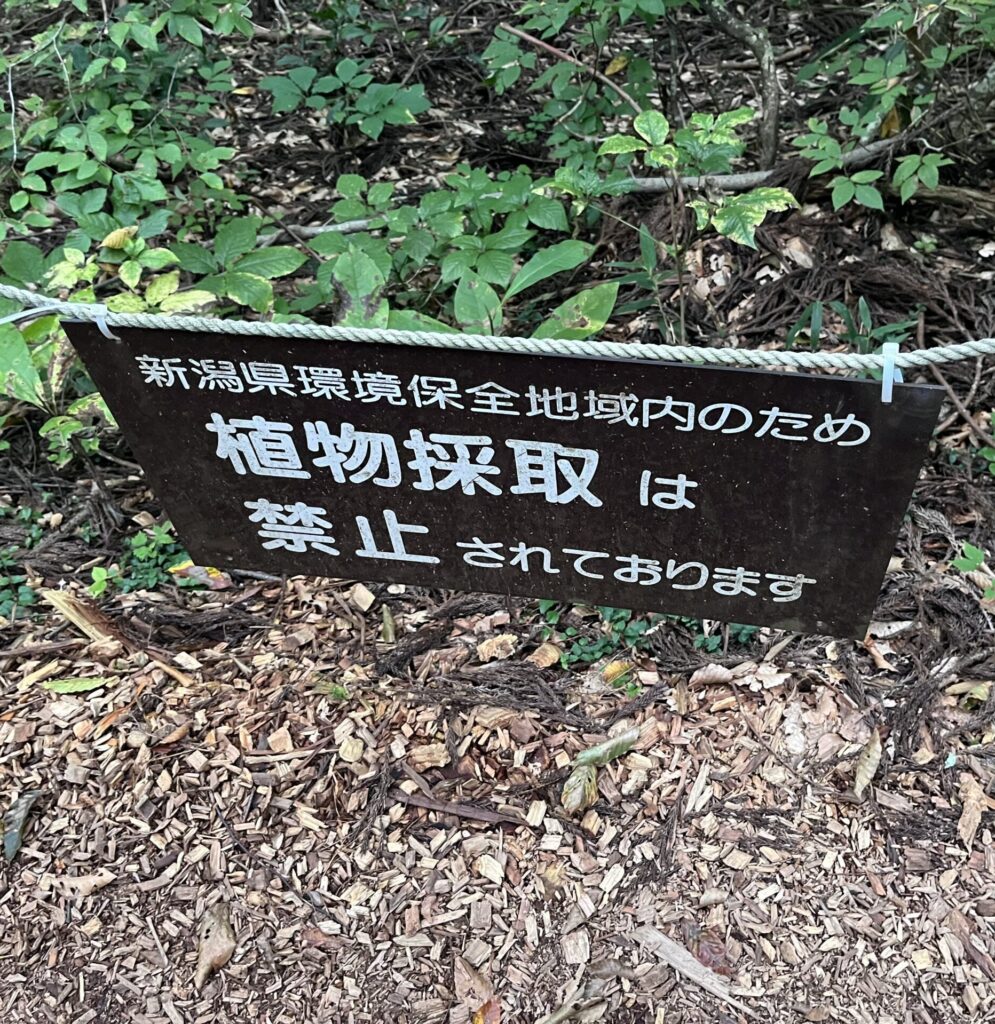 植物採取禁止の看板