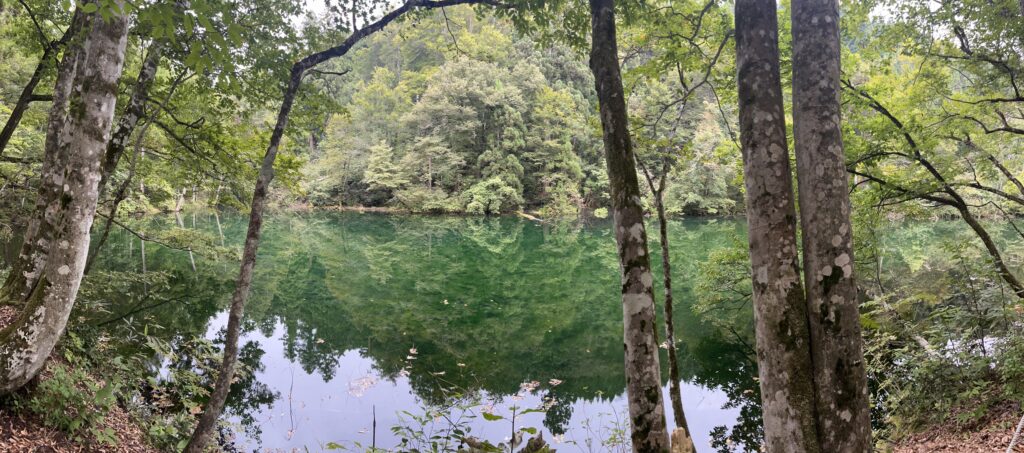 【龍ヶ窪の池】竜神伝説も残る神秘的な絶景水鏡