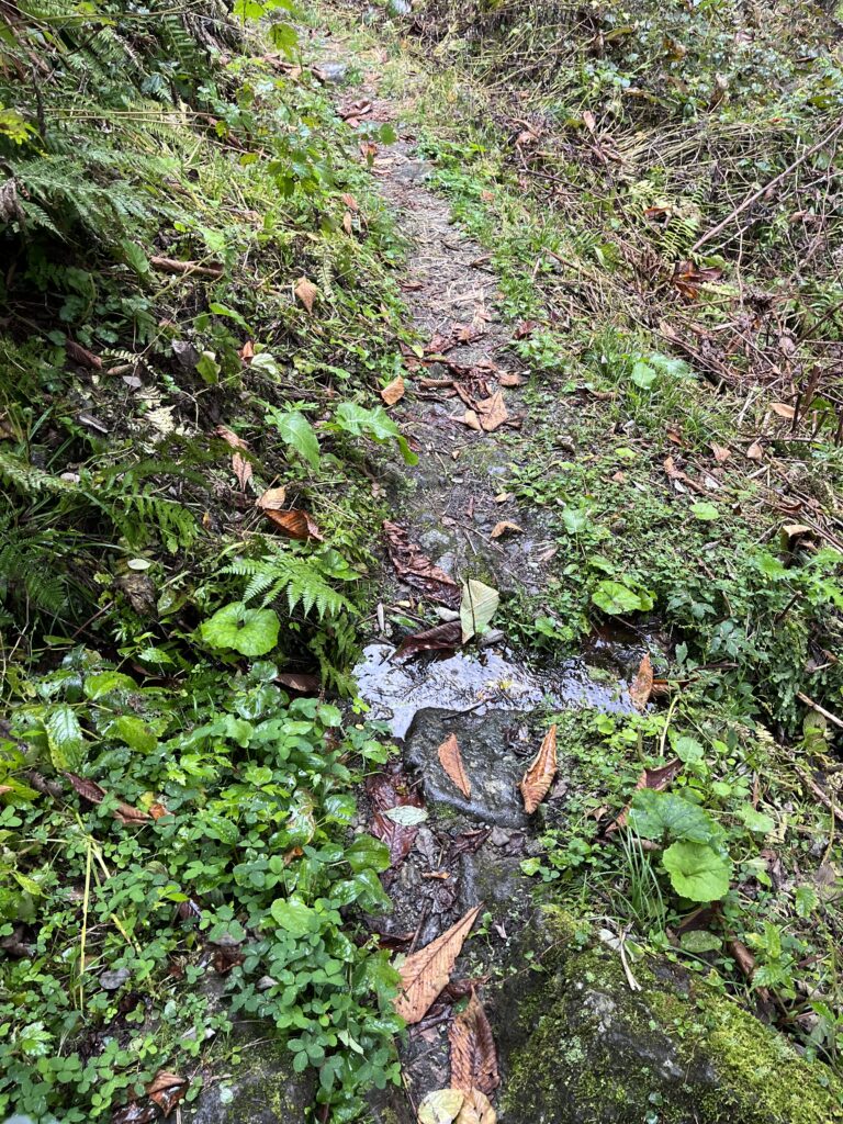 水が流れている部分