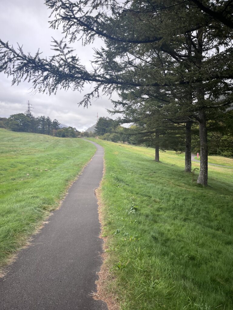 風の散歩道2