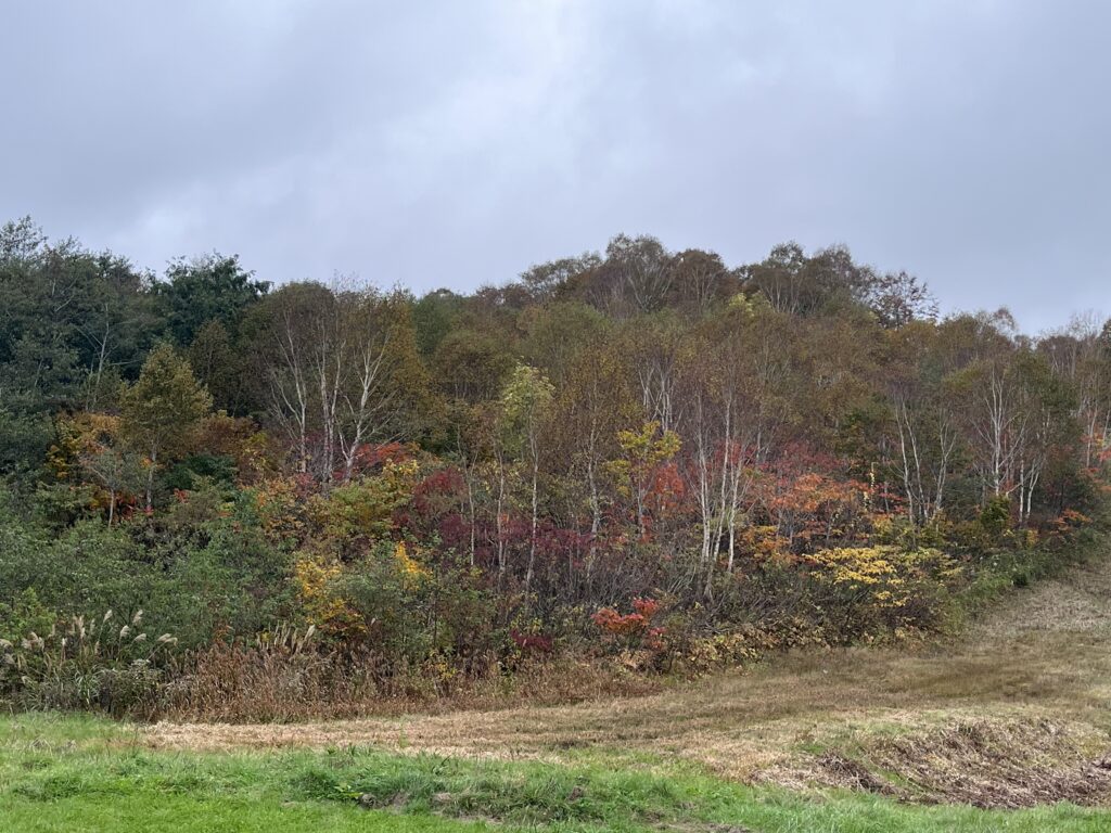 苗場ドラゴンドラ山頂の景色2