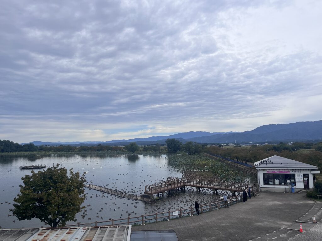 歩道橋から見た瓢湖