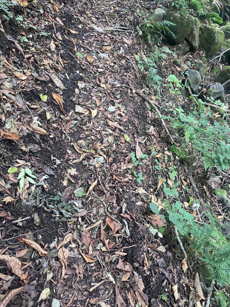 道幅が狭くなっている土道