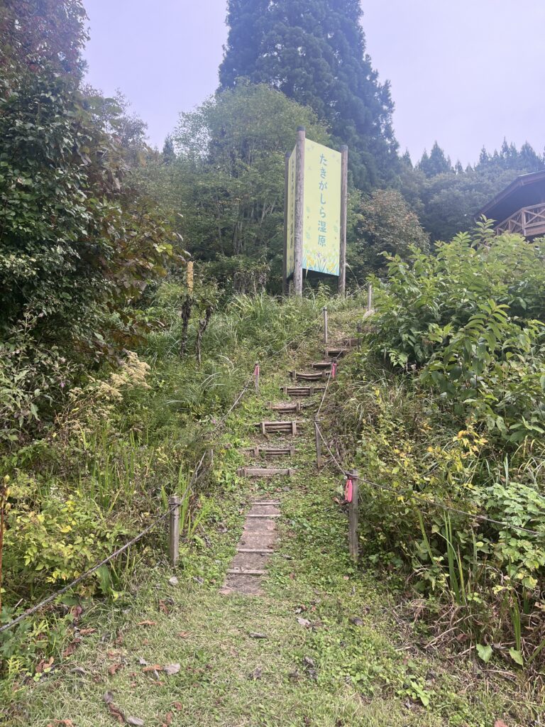 駐車場から管理棟(見晴らし小屋)へとつながる階段