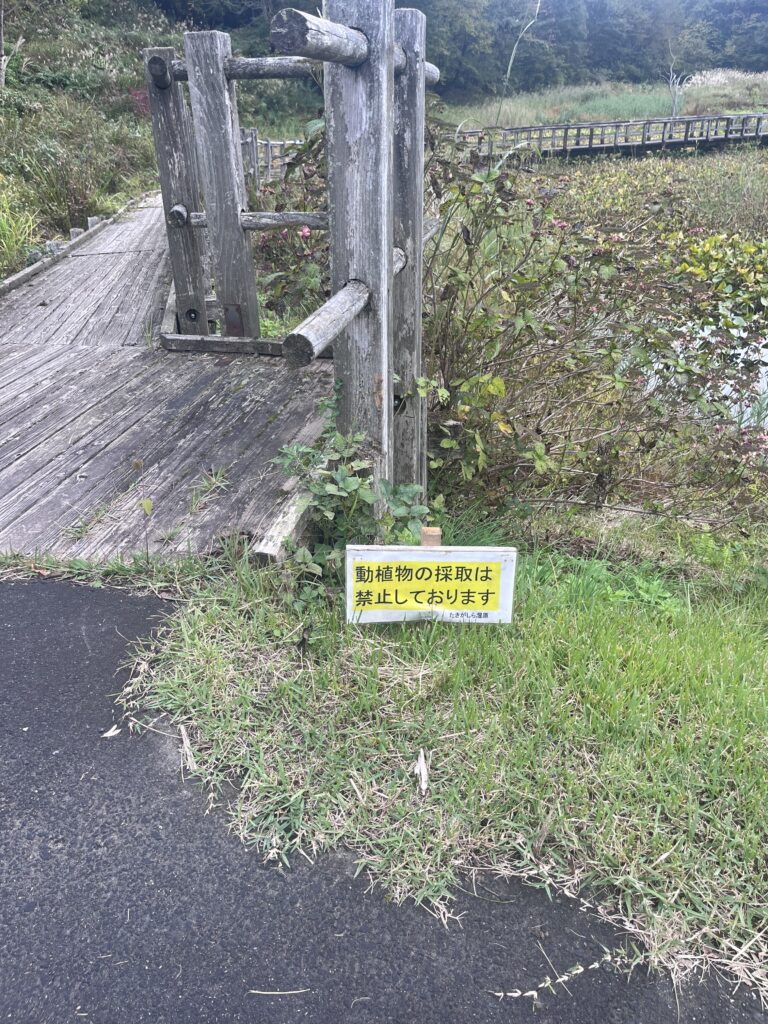 動植物の採取禁止の看板