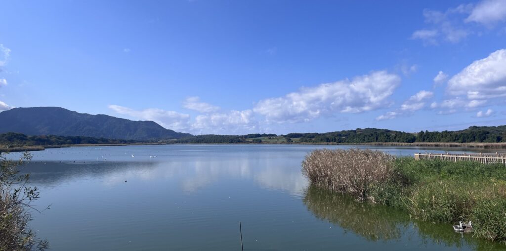 【佐潟公園】大都市近郊にある水鳥の生息地